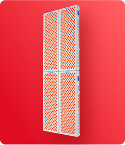 2x-BIOMAX-900-+-900_2