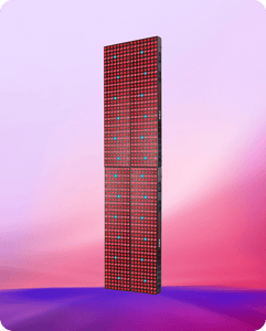 2x-biomax-pro-grande-+-grande_1